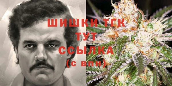 хмурый Алексеевка