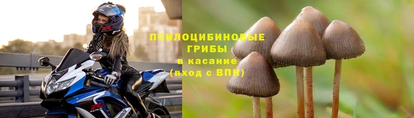 не бодяженный Алзамай