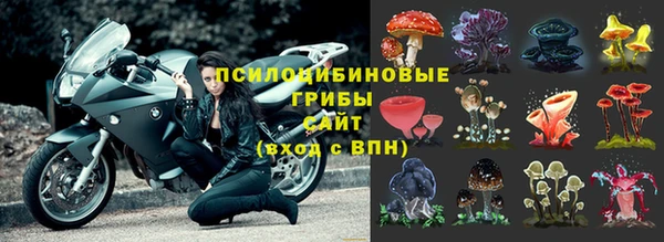 не бодяженный Алзамай